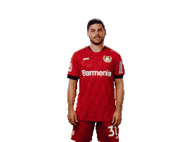 Bayer 04 Facepalm Sticker by Bayer 04 Leverkusen