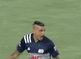 Celebrate New England GIF by Major League Soccer