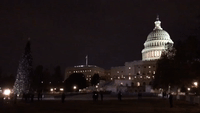 Crowd Cheers During US Capitol Christmas Tree Lighting Ceremony