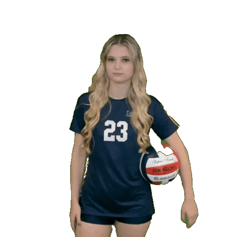 Womens Volleyball Sticker by Clarke University