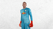 Lets Go Yes GIF by RB Leipzig