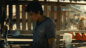 narcos GIF by netflixlat