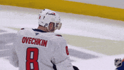 Happy Washington Capitals GIF by NHL