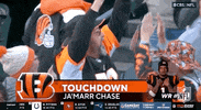 National Football League GIF by NFL