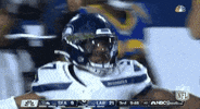 Regular Season Football GIF by NFL