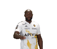 Sport Team Sticker by Stade Rochelais