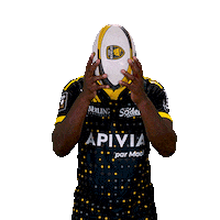 Sport Celebration Sticker by Stade Rochelais