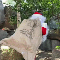 Surprise Visit From Santa