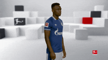 Posing Line Up GIF by Bundesliga