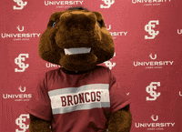 Santa Clara University Go Broncos GIF by Santa Clara Broncos