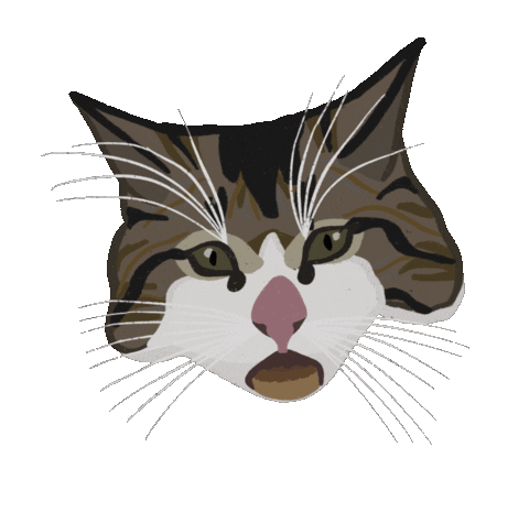 Cat Hello Sticker