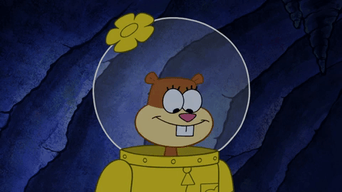 season 10 episode 3 GIF by SpongeBob SquarePants