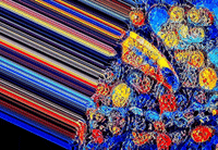 Art Love GIF