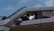 Car Lol GIF by Endangered Labs
