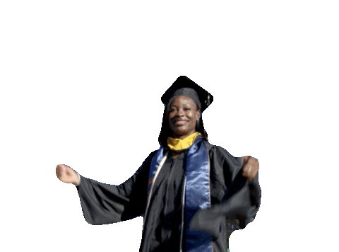 College Celebrate Sticker by SNHU