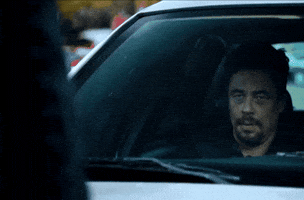 Mexico Terrifying GIF