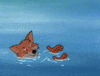 squirt GIF