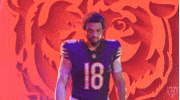 Football Nfl GIF by Chicago Bears