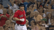 bump brock GIF by MLB