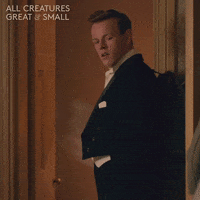 allcreaturestv animals bag tuxedo yorkshire GIF