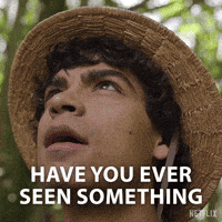 One Piece GIF by NETFLIX