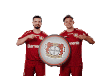 Bayer 04 Fifa Sticker by Bayer 04 Leverkusen