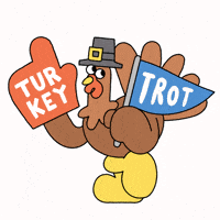Thanksgiving Turkey GIF by Jelly