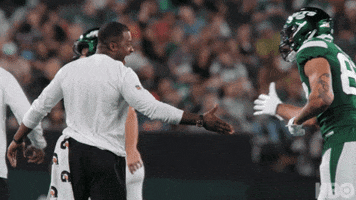 High Five Season 20 GIF by NFL