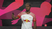 Rb Leipzig Selfie GIF by Bundesliga
