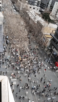 Anti-Lockdown Protesters March Through Melbourne's CBD Amid Clashes With Police