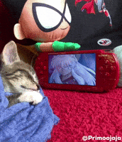Cat Kitty GIF