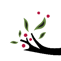 Flower Plants Sticker by WME