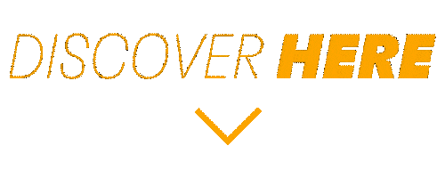 Discover Here Sticker by Henkel
