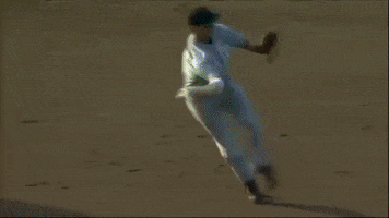 BeaverBaseball baseball ncaa college world series oregon state GIF