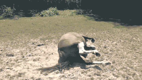 GIF by AT&T