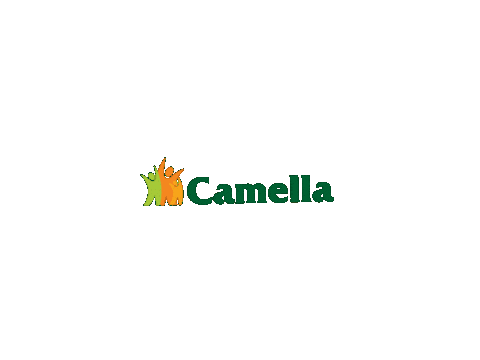camellaofficial giphyupload real estate investment township Sticker