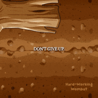 Keep Going You Can Do It GIF by VeeFriends