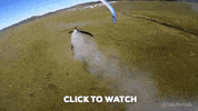 Drone Video GIF by AirVuz