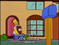 homer simpson GIF