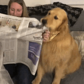 Reaction GIF by MOODMAN