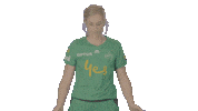Big Bash Cricket Sticker by StarsBBL