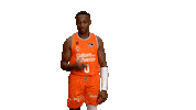 Liga Endesa Basketball Sticker by ACB