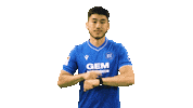 Football Sport Sticker by Karlsruher SC
