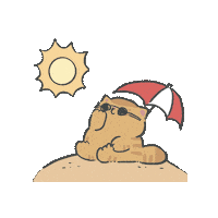 Cat Summer Sticker