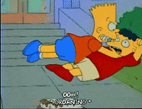 Season 1 Adil Hoxha GIF by The Simpsons