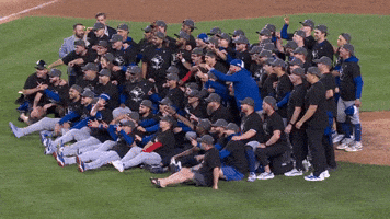 Blue Jays Baseball GIF by Toronto Blue Jays