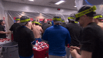 Blue Jays Celebration GIF by Toronto Blue Jays