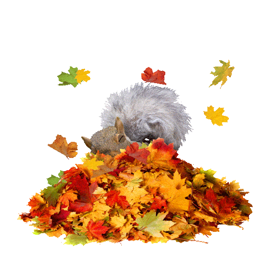 Happy Fun Sticker by chris timmons