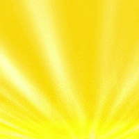 Puppy Nft GIF by Digital Pratik