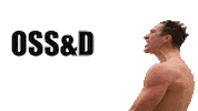 Ossd Sticker by Oswego State Swimming